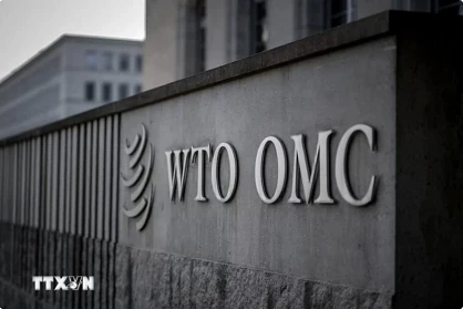 WTO highlights Vietnam’s role in restructuring of global supply chains WTO highlights Vietnam’s role in restructuring of global supply chains