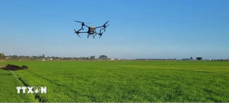 Digital transformation in agriculture faces several barriers. (Photo: VNA) Digital transformation in agriculture faces several barriers. (Photo: VNA)
