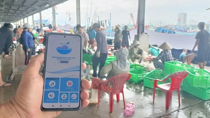 Vietnam tightens port and offshore activity control to tackle IUU fishing Vietnam tightens port and offshore activity control to tackle IUU fishing