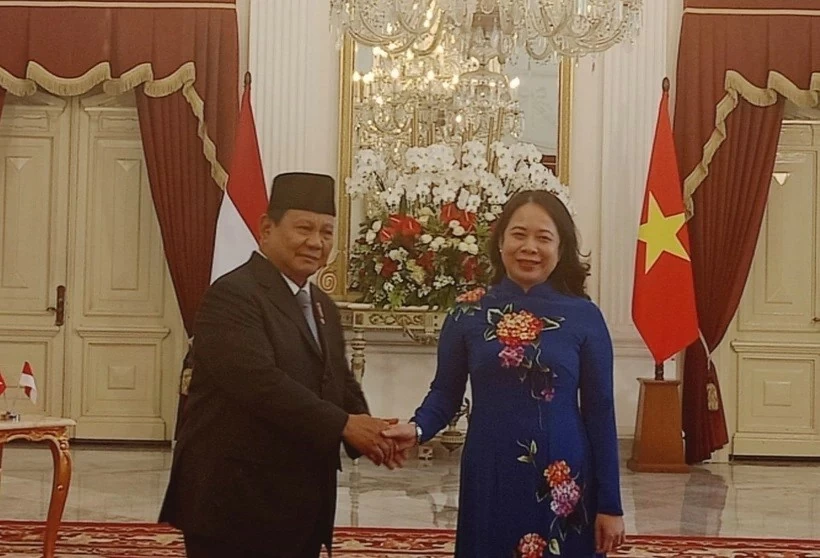 Vice President Vo Thi Anh Xuan meets with Indonesian President Prabowo Subianto Vice President Vo Thi Anh Xuan meets with Indonesian President Prabowo Subianto