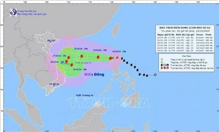 Urgent response urged as Typhoon Trami looming Urgent response urged as Typhoon Trami looming