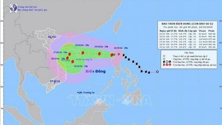 Deputy PM Tran Hong Ha urged urgent response as Typhoon Trami looming