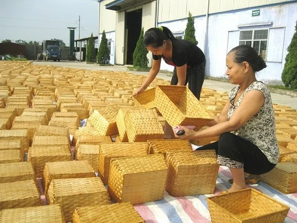 Bamboo and rattan weaving village in Hanoi’s Phu Tuc recognized as tourist destination Bamboo and rattan weaving village in Hanoi’s Phu Tuc recognized as tourist destination