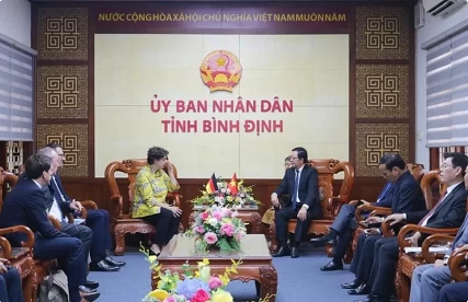 Binh Dinh seeks German investment in offshore wind power project Binh Dinh seeks German investment in offshore wind power project