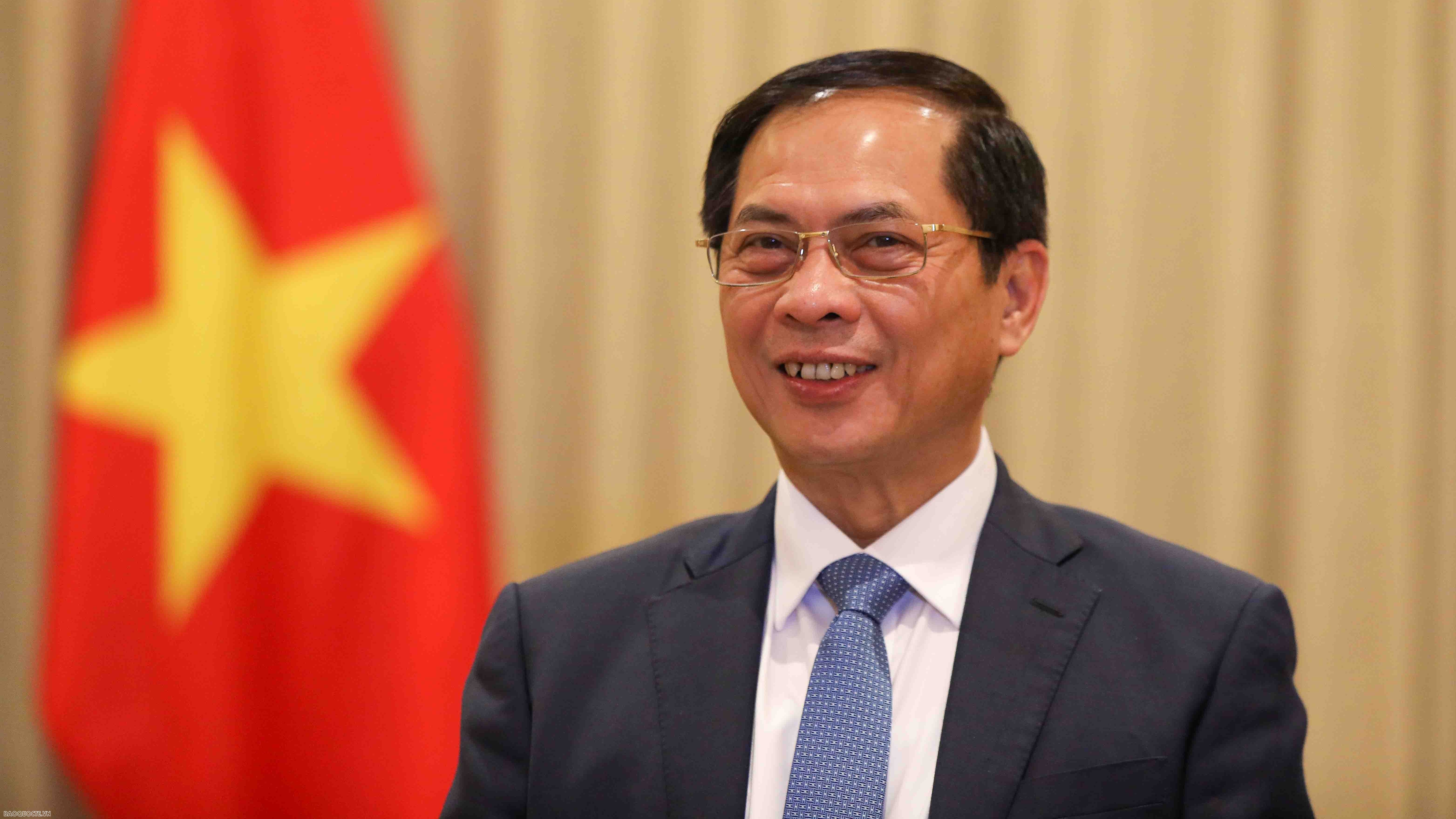 PM's visits to three Middle East countries produces important outcomes: Deputy PM and FM Bui Thanh Son
