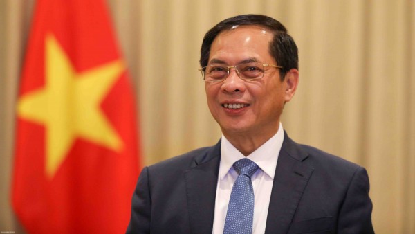 PM's visits to three Middle East countries produces important outcomes: Deputy PM and FM Bui Thanh Son