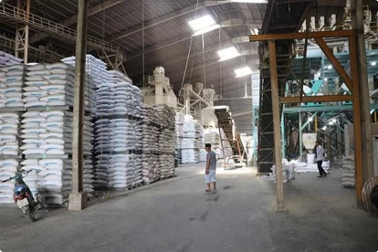 Rice exports may set new record in 2024 Rice exports may set new record in 2024