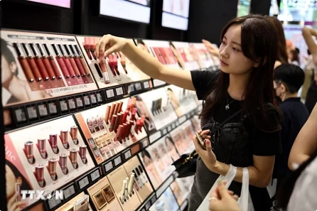 RoK cosmetics industry sets sights on buoyant Vietnamese market RoK cosmetics industry sets sights on buoyant Vietnamese market