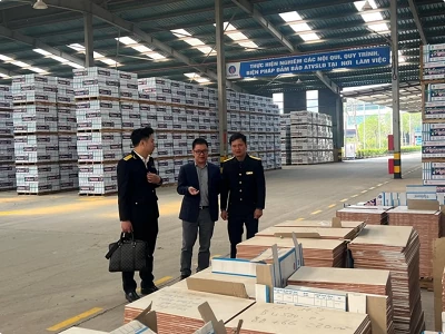 Tax sector fulfils nearly 95% of state budget collection target Tax sector fulfils nearly 95% of state budget collection target