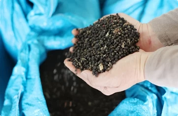 Vietnam's pepper exports down in volume, but surge in value Vietnam's pepper exports down in volume, but surge in value