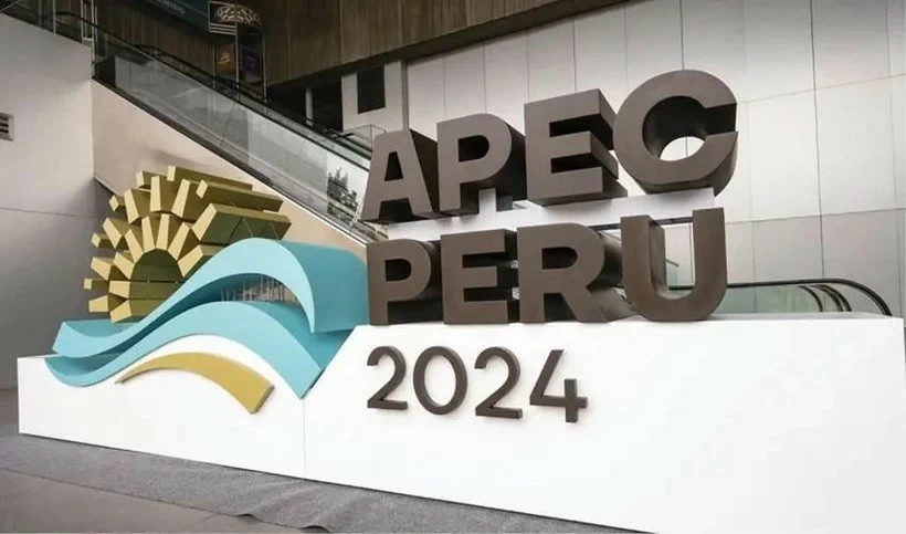 Vietnam affirms active, responsible role in APEC Vietnam affirms active, responsible role in APEC