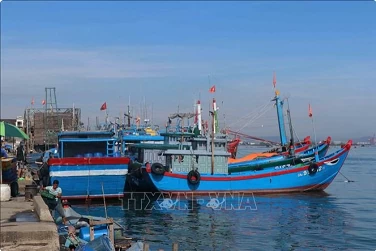 Quang Nam aims to deal with “three no’s” fishing vessels in November Quang Nam aims to deal with “three no’s” fishing vessels in November