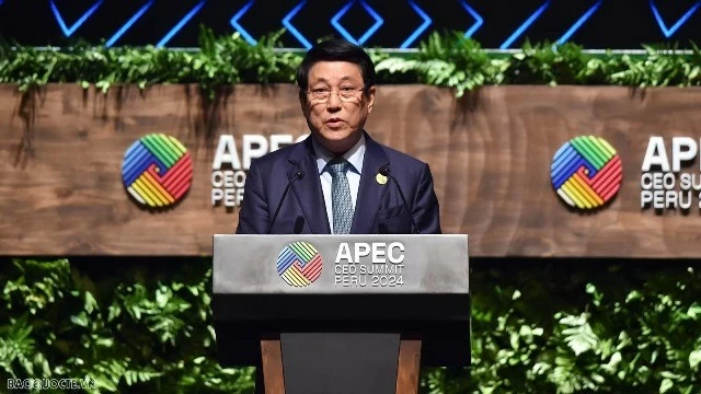Deputy PM, FM Bui Thanh Son highlights diplomatic achievements in 2024 creating momentum for Vietnam’s new era Deputy PM, FM Bui Thanh Son highlights diplomatic achievements in 2024 creating momentum for Vietnam’s new era