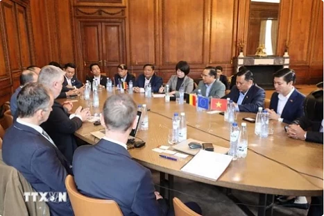 Long An eyes cooperation opportunities with Belgium in renewable energy Long An eyes cooperation opportunities with Belgium in renewable energy