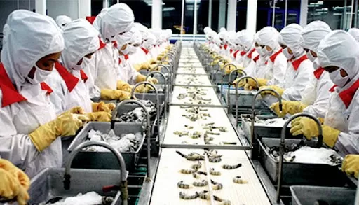 Vietnam's agricultural export faces challenges Vietnam's agricultural export faces challenges