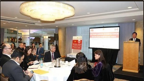 Vietnam, Canada promote ties in production, energy sectors: Forum