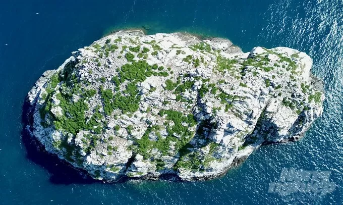 Con Dao national park awarded Vietnam record for Hon Trung seabird nesting site Con Dao national park awarded Vietnam record for Hon Trung seabird nesting site