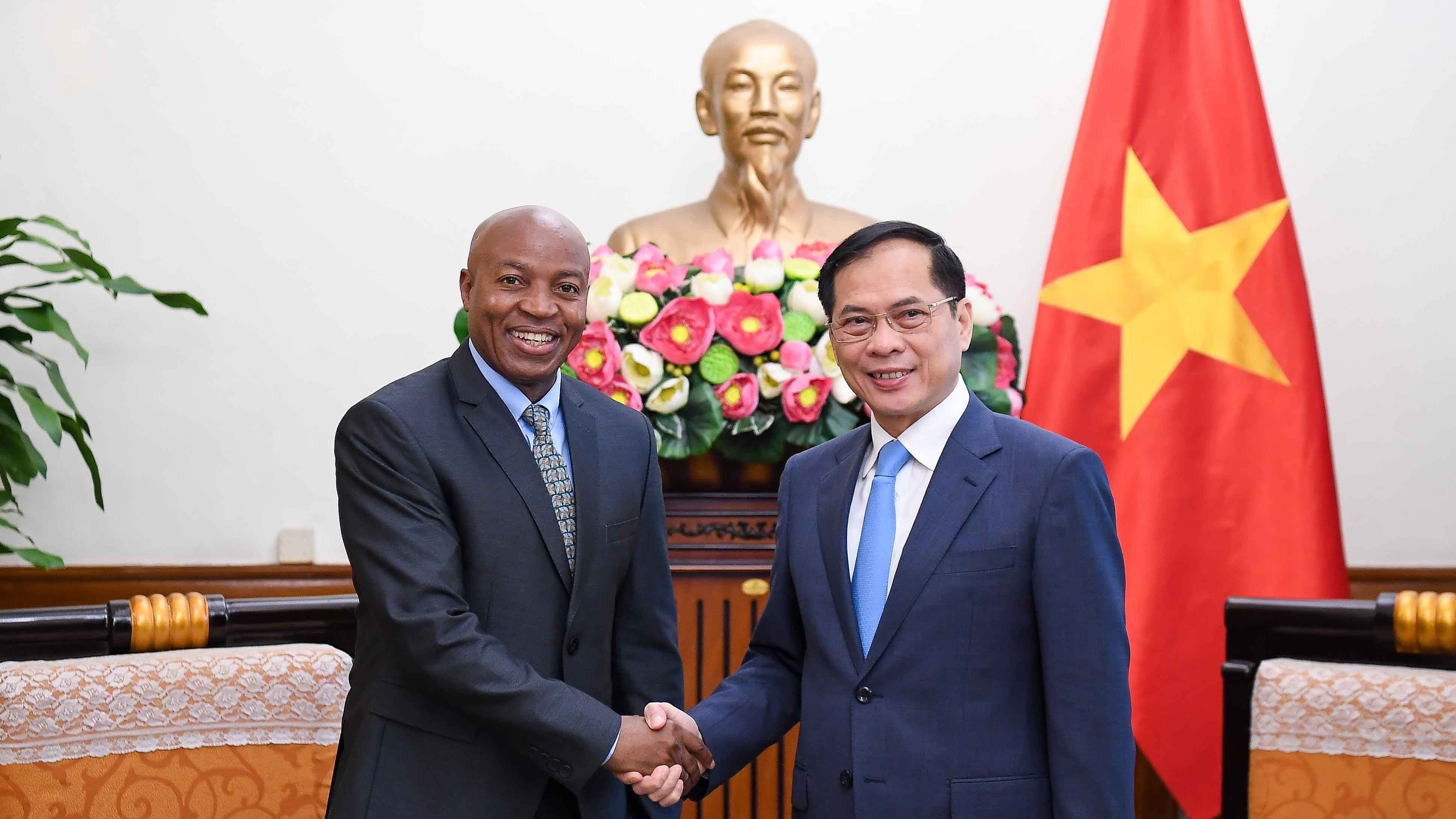 Deputy PM, Foreign Minister Bui Thanh Son receives Tanzanian Deputy Foreign Minister
