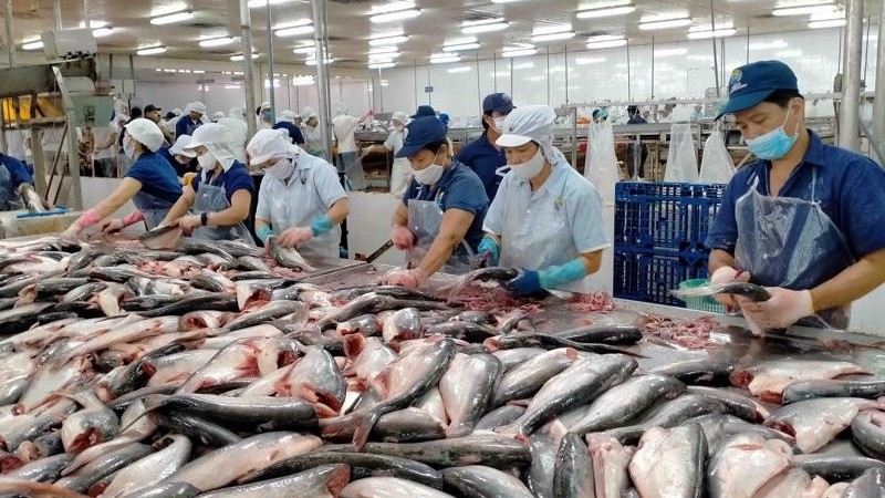 FDI remains crucial contributor to boost economic growth