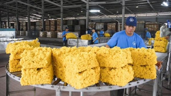 VN's rubber industry adaptive to EU Deforestation Regulation