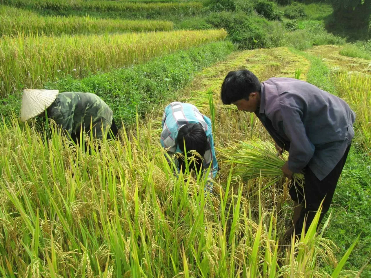 Agricultural sector’s trade surplus approximates 16.5 billion USD Agricultural sector’s trade surplus approximates 16.5 billion USD