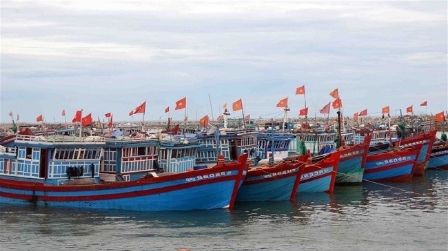 Thanh Hoa province to handle “three-no's”, “two-no's” fishing boats
