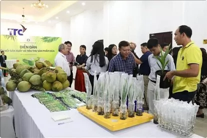 Vietnamese coconut becomes high-value export Vietnamese coconut becomes high-value export