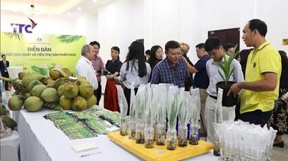 Vietnamese coconut becomes high-value export products