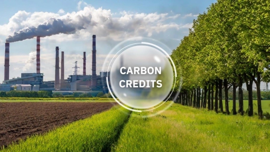 Vietnam’s carbon market development project approved, toward the goal of achieving net-zero emissions by 2050