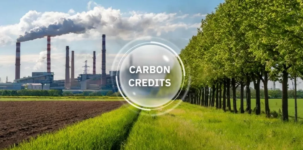 Vietnam’s carbon market development project approved, toward the goal of achieving net-zero emissions by 2050