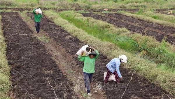 Vietnam urged to leverage domestic market for economic growth: experts