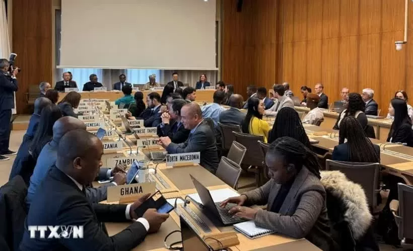 Vietnamese representative attends WTO’s 2024 Class of Young Professionals Vietnamese representative attends WTO’s 2024 Class of Young Professionals