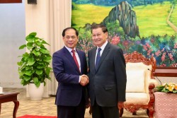 Deputy PM, Foreign Minister Bui Thanh Son had meetings with Lao leaders in Vientiane