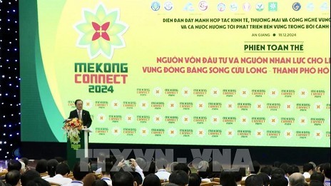 Regional connectivity – key for Mekong Delta to overcome challenges
