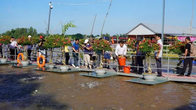 Mekong Delta tourism continues to surge