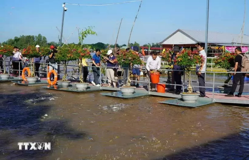 Mekong Delta tourism continues to surge Mekong Delta tourism continues to surge