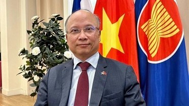 Ambassador affirms Vietnam-France ties reached new height in 2024