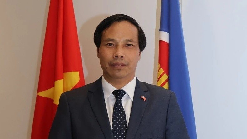 Energy cooperation constitutes bright spot in Vietnam-Qatar relations: Ambassador