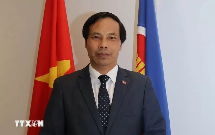 Energy cooperation constitutes bright spot in Vietnam-Qatar relations: Ambassador Energy cooperation constitutes bright spot in Vietnam-Qatar relations: Ambassador