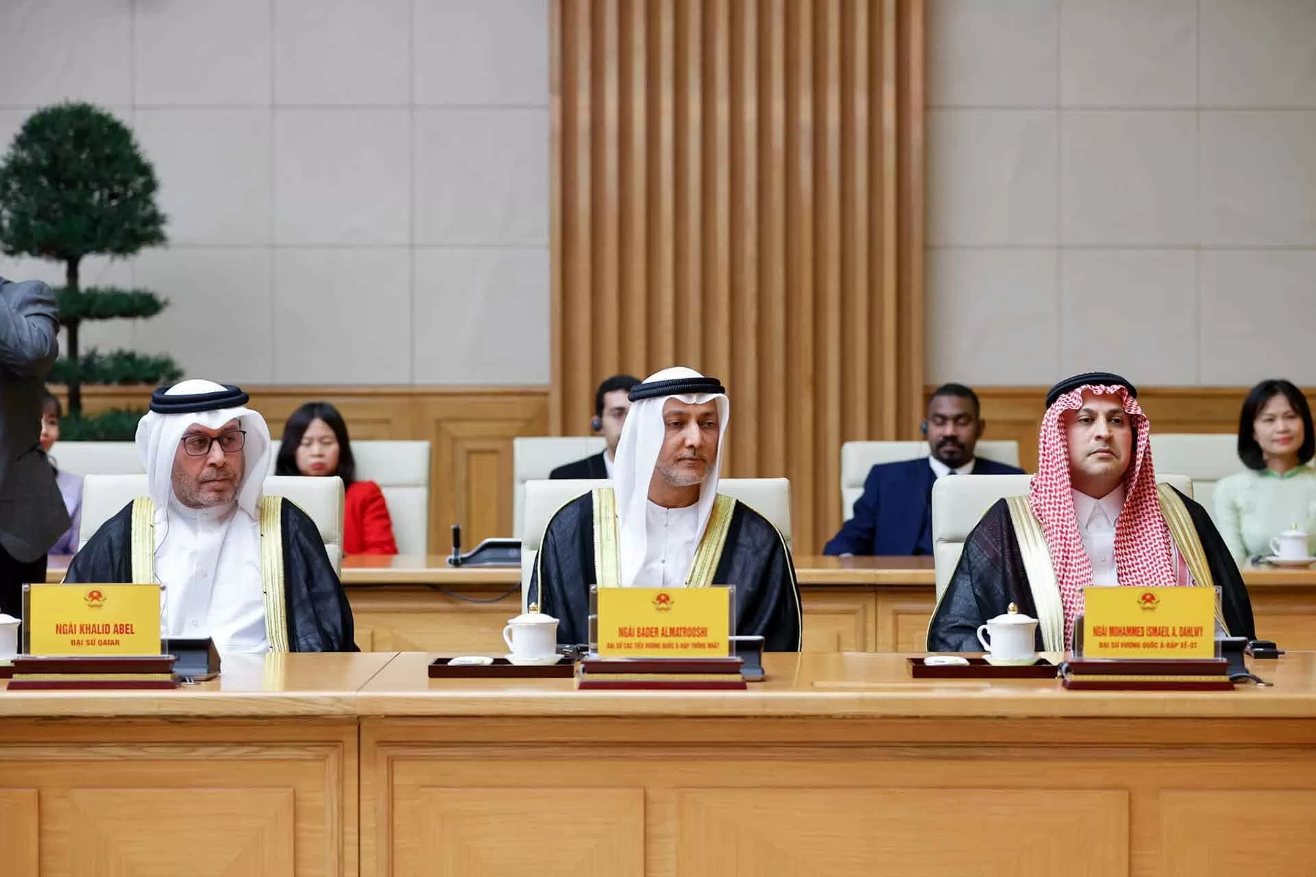 PM Pham Minh Chinh urges realisation of high-level agreements with Saudi Arabia, UAE, Qatar PM Pham Minh Chinh urges realisation of high-level agreements with Saudi Arabia, UAE, Qatar