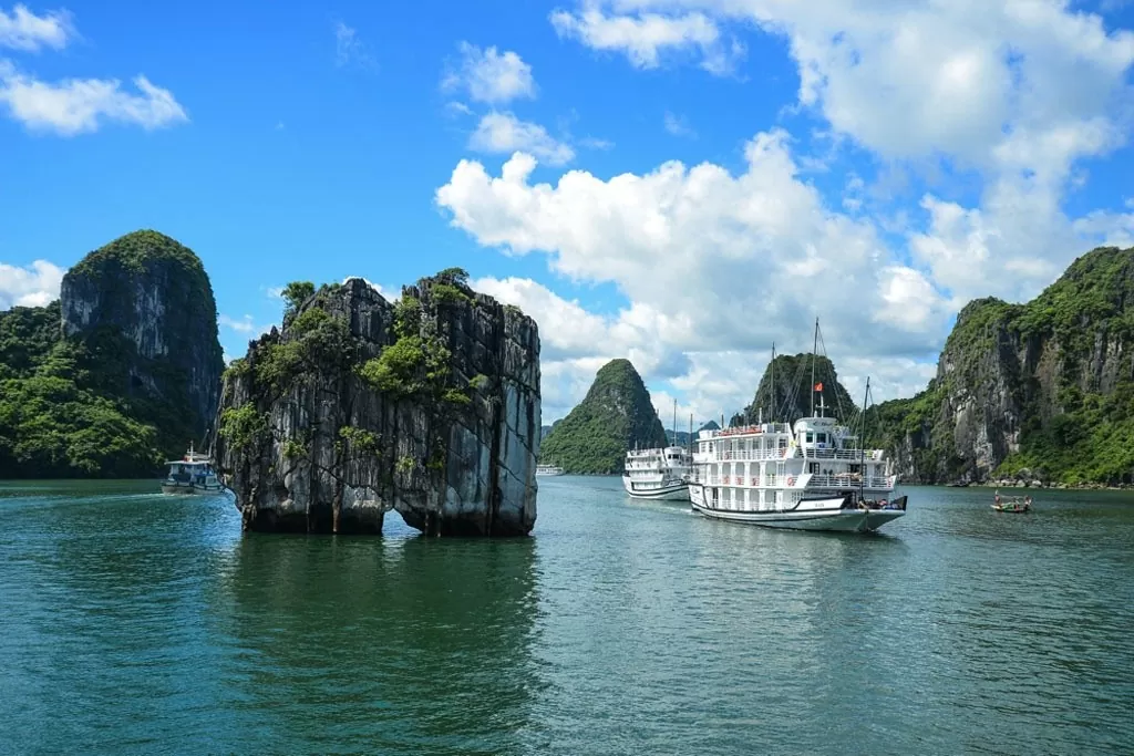 Ha Long city well positioned to develop green economy: experts Ha Long city well positioned to develop green economy: experts