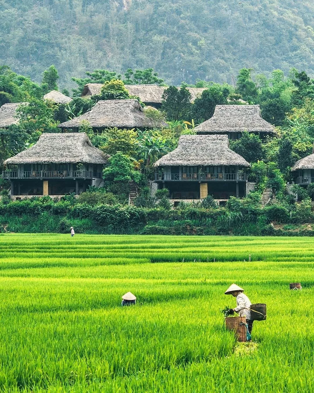 Phu Tho post-merger: A promising new space for tourism development