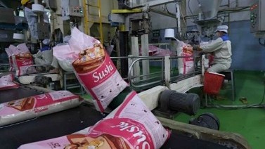 Rice export sets new record in 2024, but 2025 forecast to be difficult