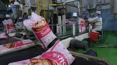 Rice export sets new record in 2024, but 2025 forecast to be difficult