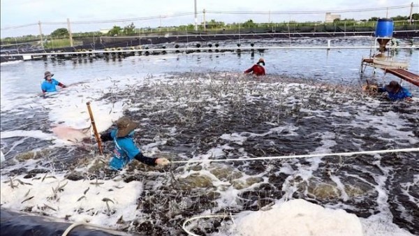 Soc Trang province sets 1.9 billion USD export target for 2025