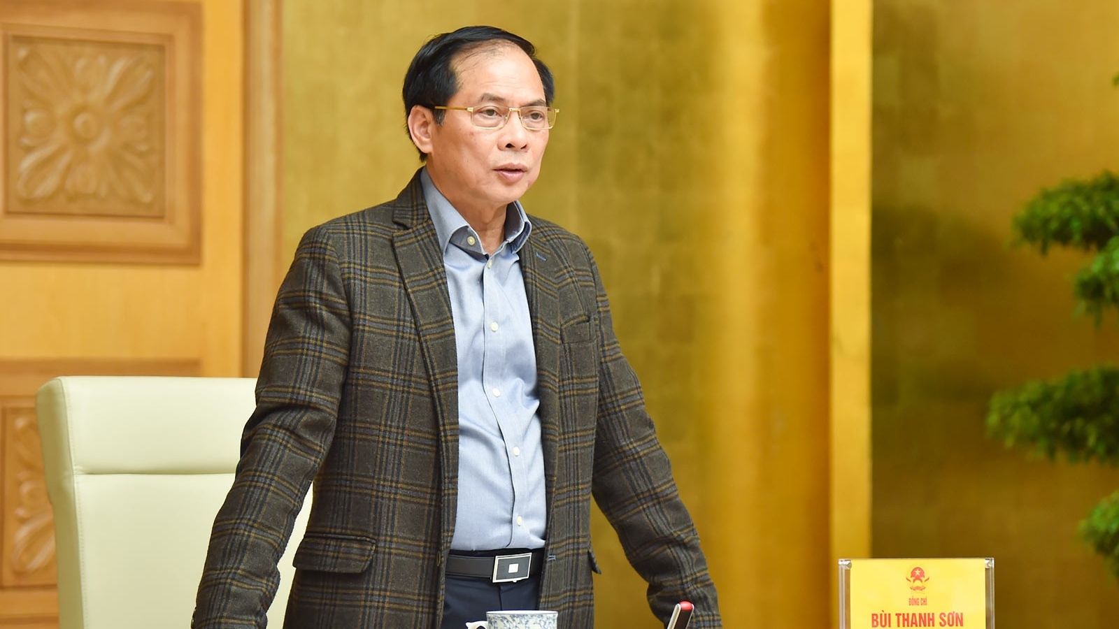 Deputy PM Bui Thanh Son chairs meeting to review implementation of int'l cooperation agreements