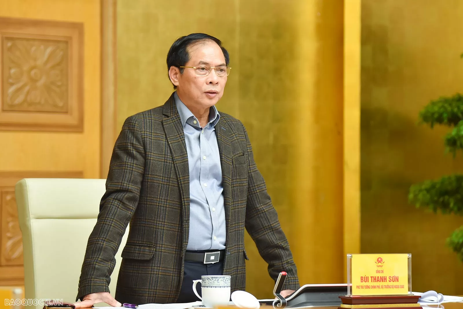 Deputy PM Bui Thanh Son urges proactive review, implementation of int'l cooperation agreements Deputy PM Bui Thanh Son urges proactive review, implementation of int'l cooperation agreements