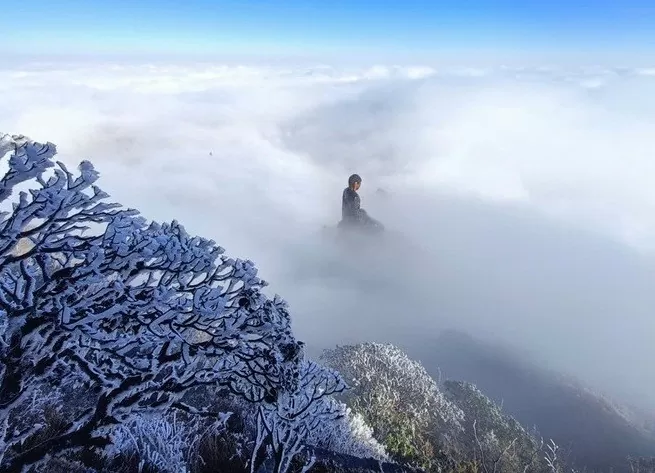 Mount. Fansipan coated in frost in first days of New year Mount. Fansipan coated in frost in first days of New year