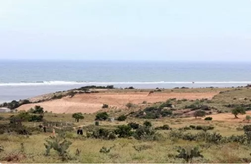 EVN proposes taking charge of new energy projects EVN proposes taking charge of new energy projects