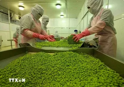 Fruit-vegetable sector targets 10 billion USD in exports by 2030 Fruit-vegetable sector targets 10 billion USD in exports by 2030